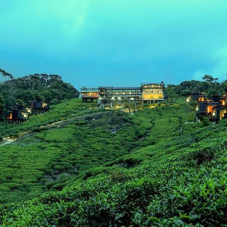 The Rainforest Ecolodge - Sinharaja With Shuttle Service From Car Park Deniyaya Exterior foto