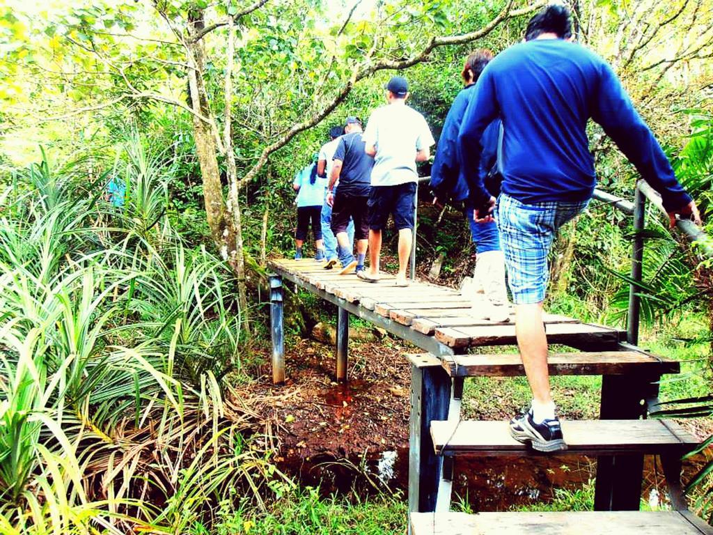 The Rainforest Ecolodge - Sinharaja With Shuttle Service From Car Park Deniyaya Exterior foto