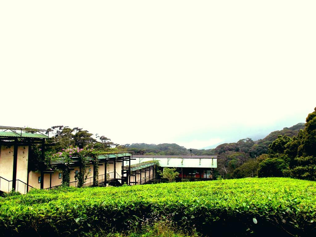 The Rainforest Ecolodge - Sinharaja With Shuttle Service From Car Park Deniyaya Exterior foto