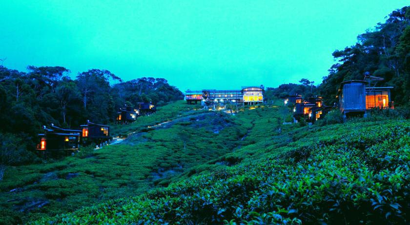 The Rainforest Ecolodge - Sinharaja With Shuttle Service From Car Park Deniyaya Exterior foto
