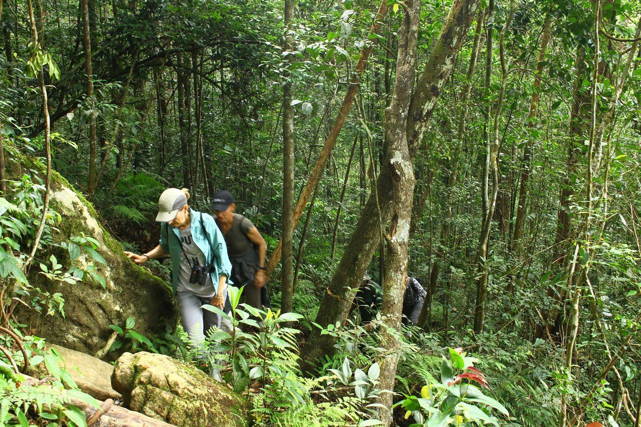 The Rainforest Ecolodge - Sinharaja With Shuttle Service From Car Park Deniyaya Exterior foto